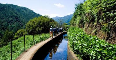 Levada do norte