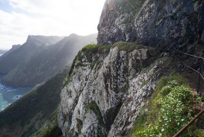 Larano a la boca Scratch / Discoverers Treasure