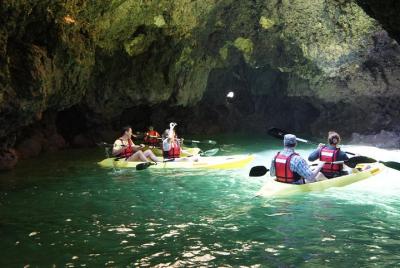 Excursión de 2 horas de kayak en Ponta da Piedade Caves y sus pla