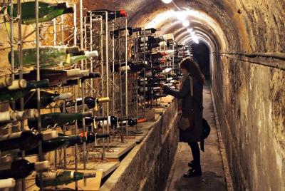 Tour de cerveza artesanal, puerto y vino