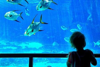 Entradas al Oceanario de Lisboa