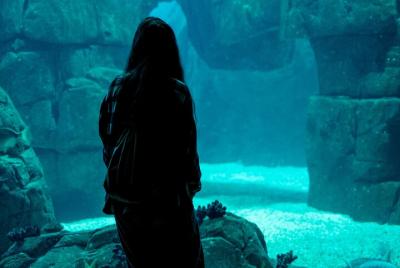 Sitway Tour y entrada al Oceanário de Lisboa