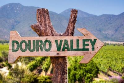 Recorrido por el Valle del Duero: Viaje de día completo con todo 