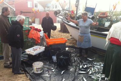 Experiencia del mejor pescado desde Oporto