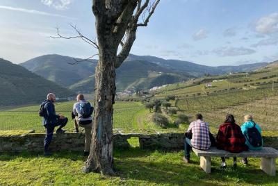 CAMINATA en DOURO VALLEY con visita a la bodega y degustación