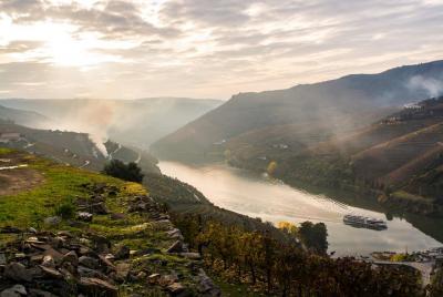 Paseo en Barco a Régua por el Valle del Duero con Desayuno y Almu
