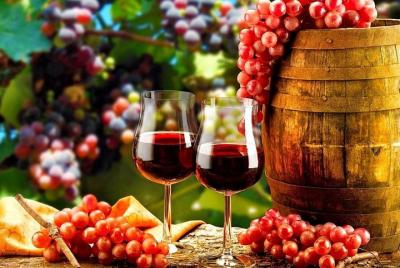 Recorrido para grupos pequeños en el valle del Duero desde Oporto