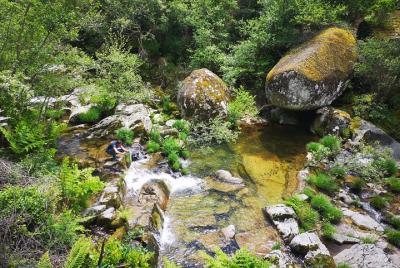Caminata con guía de Monte de Covelinhas