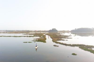 Tour en grupo reducido de paddle surf en la Ría de Aveiro