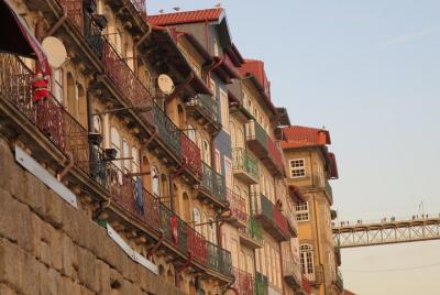 Excursión de medio día a Oporto: degustación de vino de Oporto y 